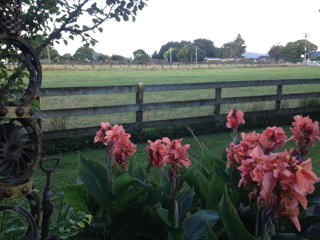 Blairgowrie House Bed & Breakfast Cambridge Ngoại thất bức ảnh